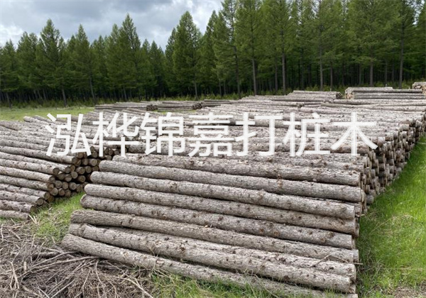 精彩施工：4米松木樁打造高品質工程