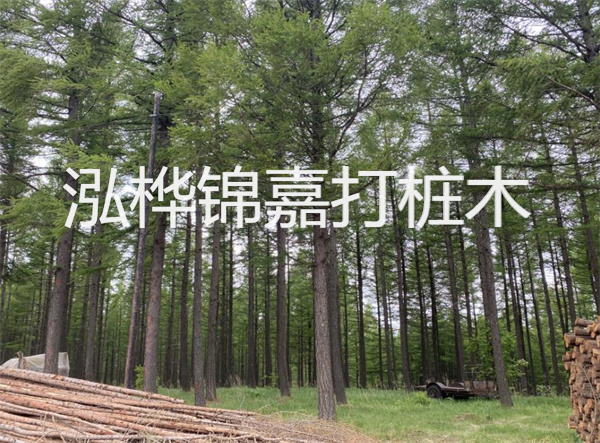 上海圍欄松木樁施工，為你打造安全舒適的園林空間