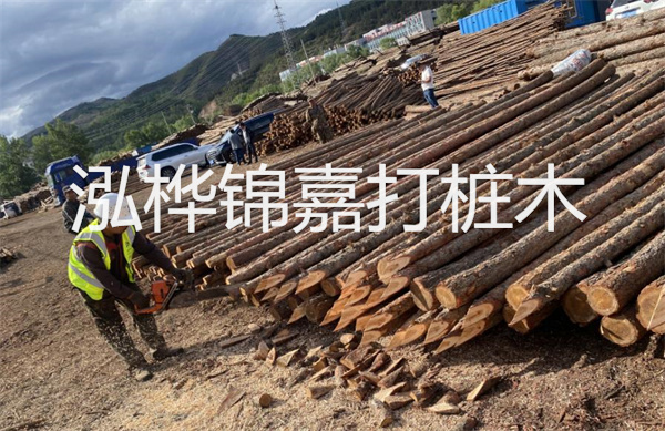 上海護岸松木樁施工，保護城市江岸美景