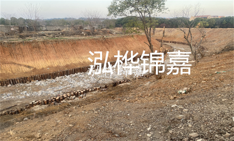 揭秘江蘇河道松木樁施工的工藝與優勢