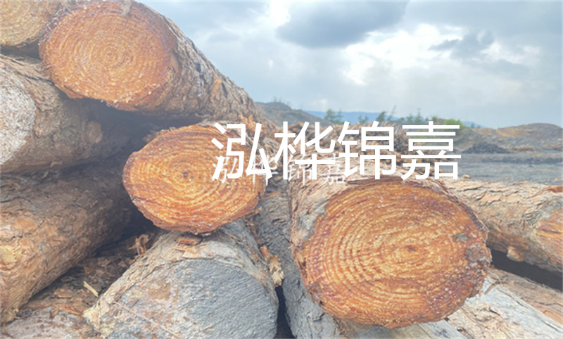 杉木樁5米長價格-打造堅固的基礎，穩固未來之道