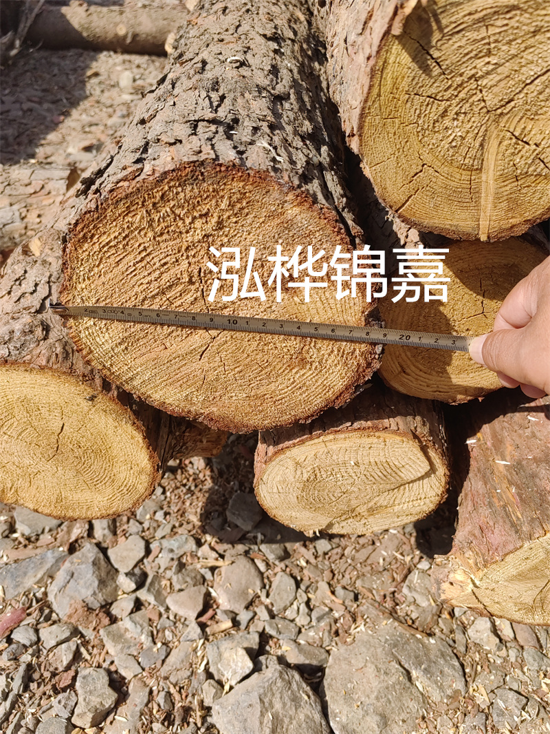 開啟木材行業新篇章，松木樁批發市場，一站式采購盡在眼前