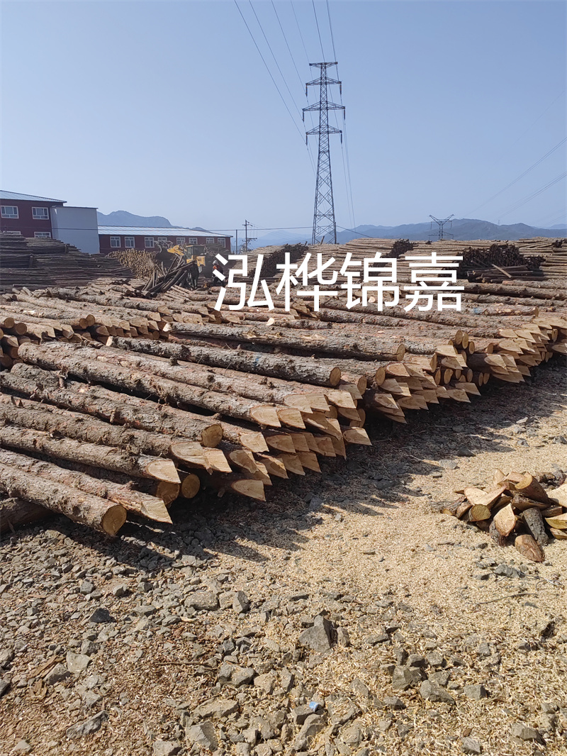 上海河道松木樁施工，打造美麗城市綠色生態環境