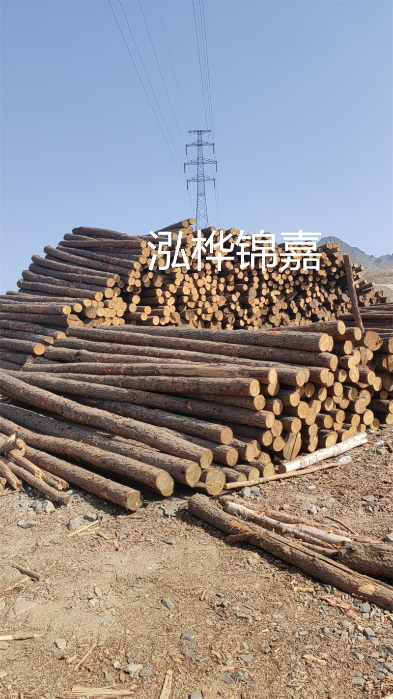 廣州松木樁施工單位，為您提供專業的施工服務