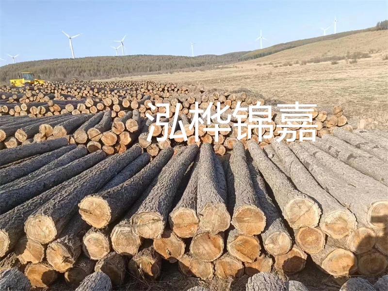 廣州壓松木樁施工電話，一站式解決地基工程問題