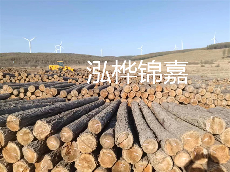 溫州松木樁施工廠家——為您打造堅固穩定的建筑基礎！