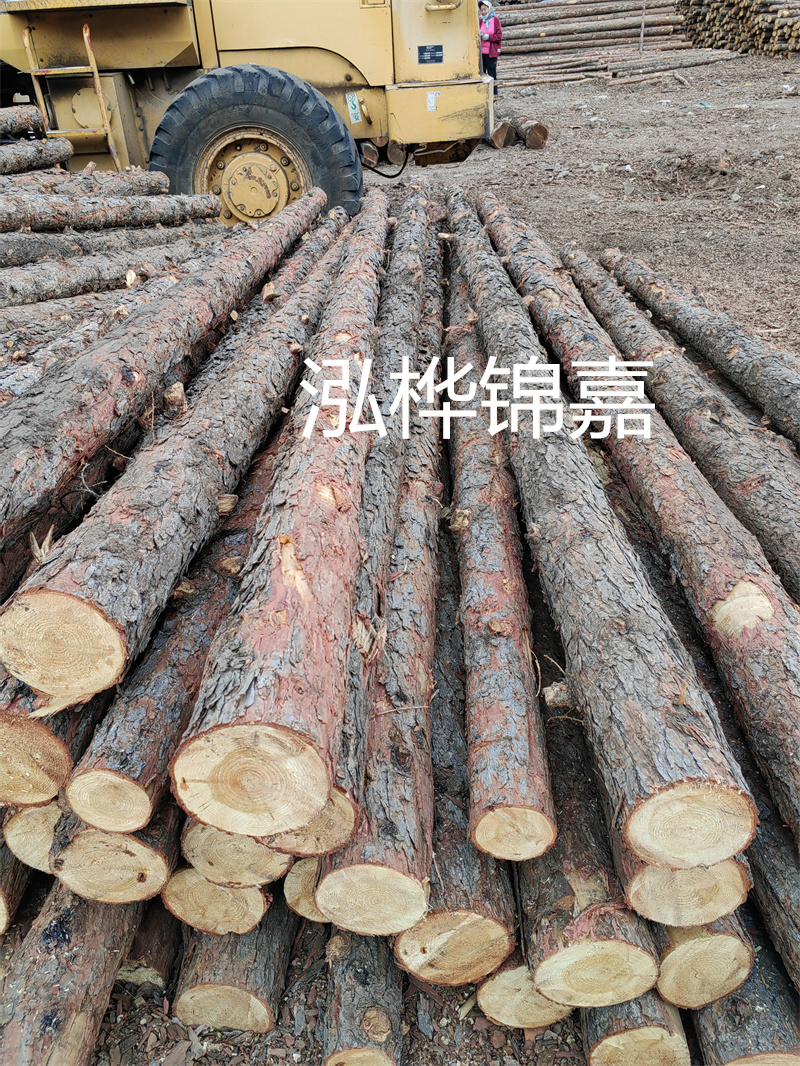 松木樁作為樁基施工平臺，穩固可靠！